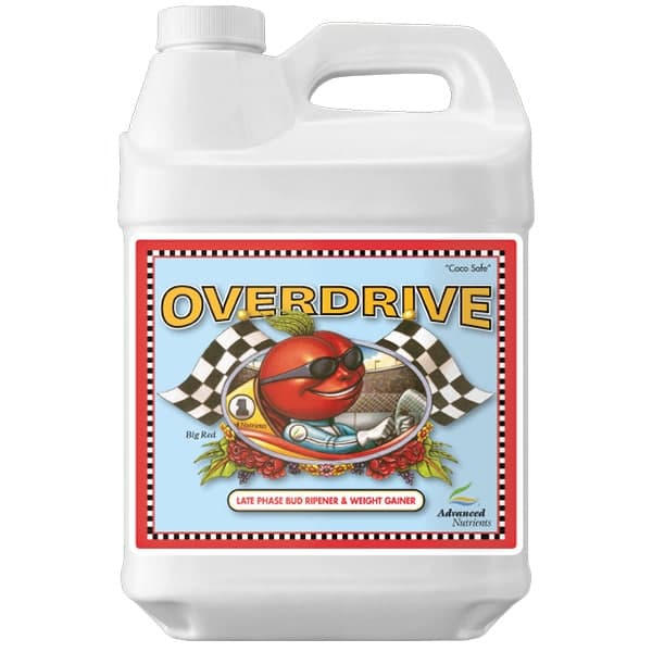 10l