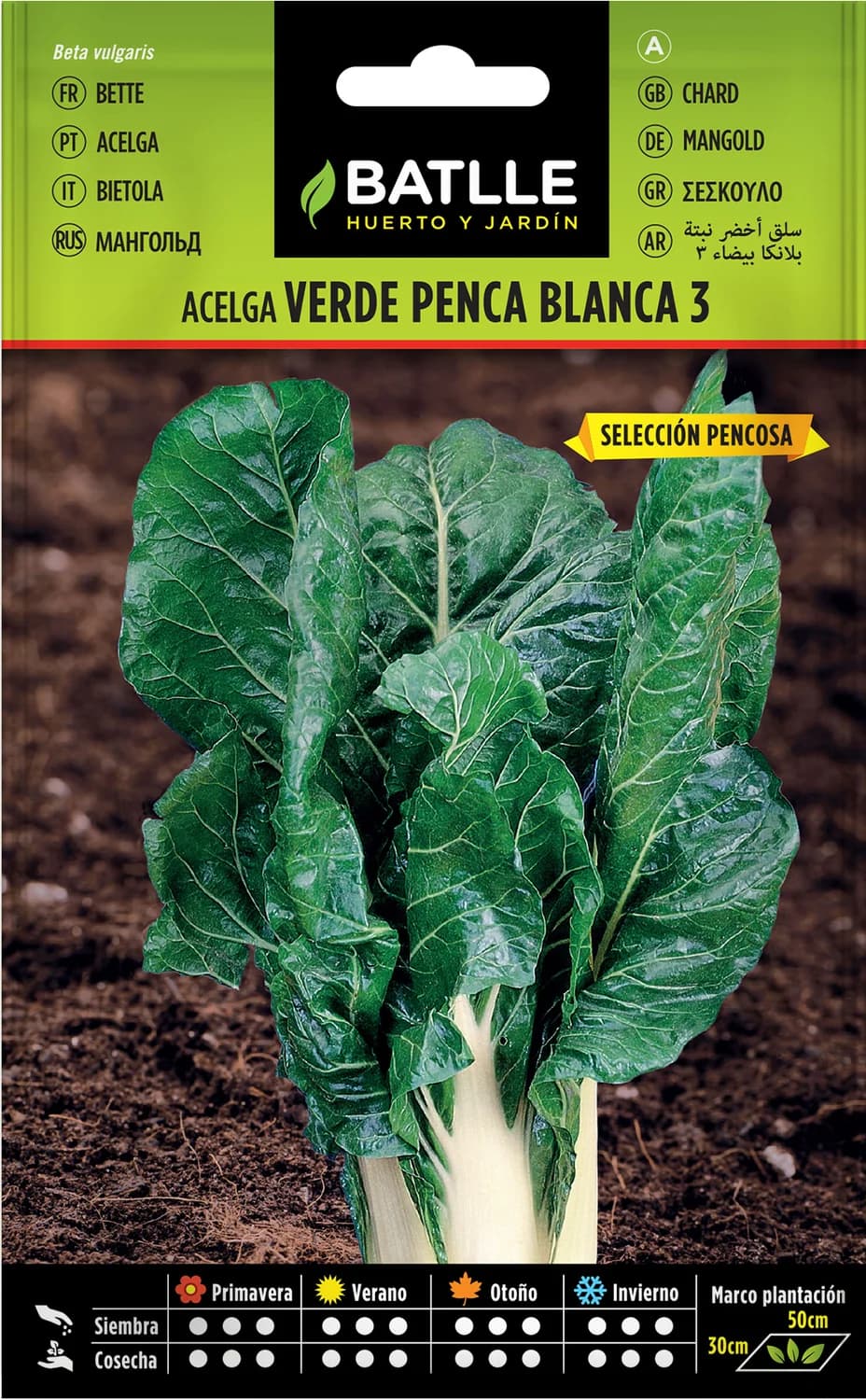 Semillas acelga verde blanca pencosa