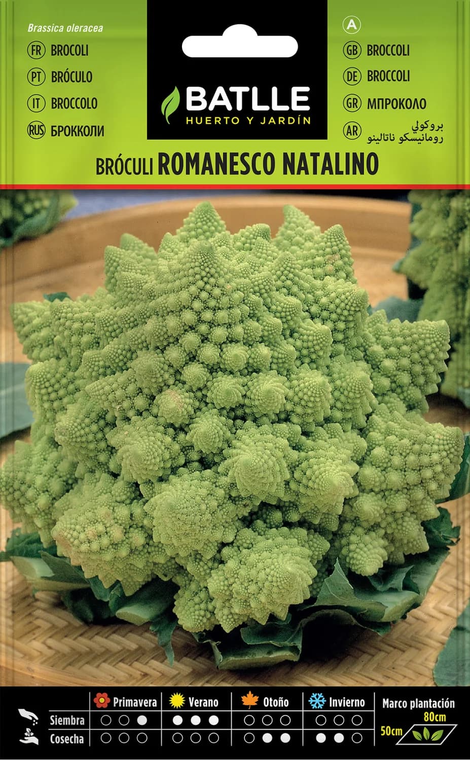 Semillas brócoli romanesco natalino
