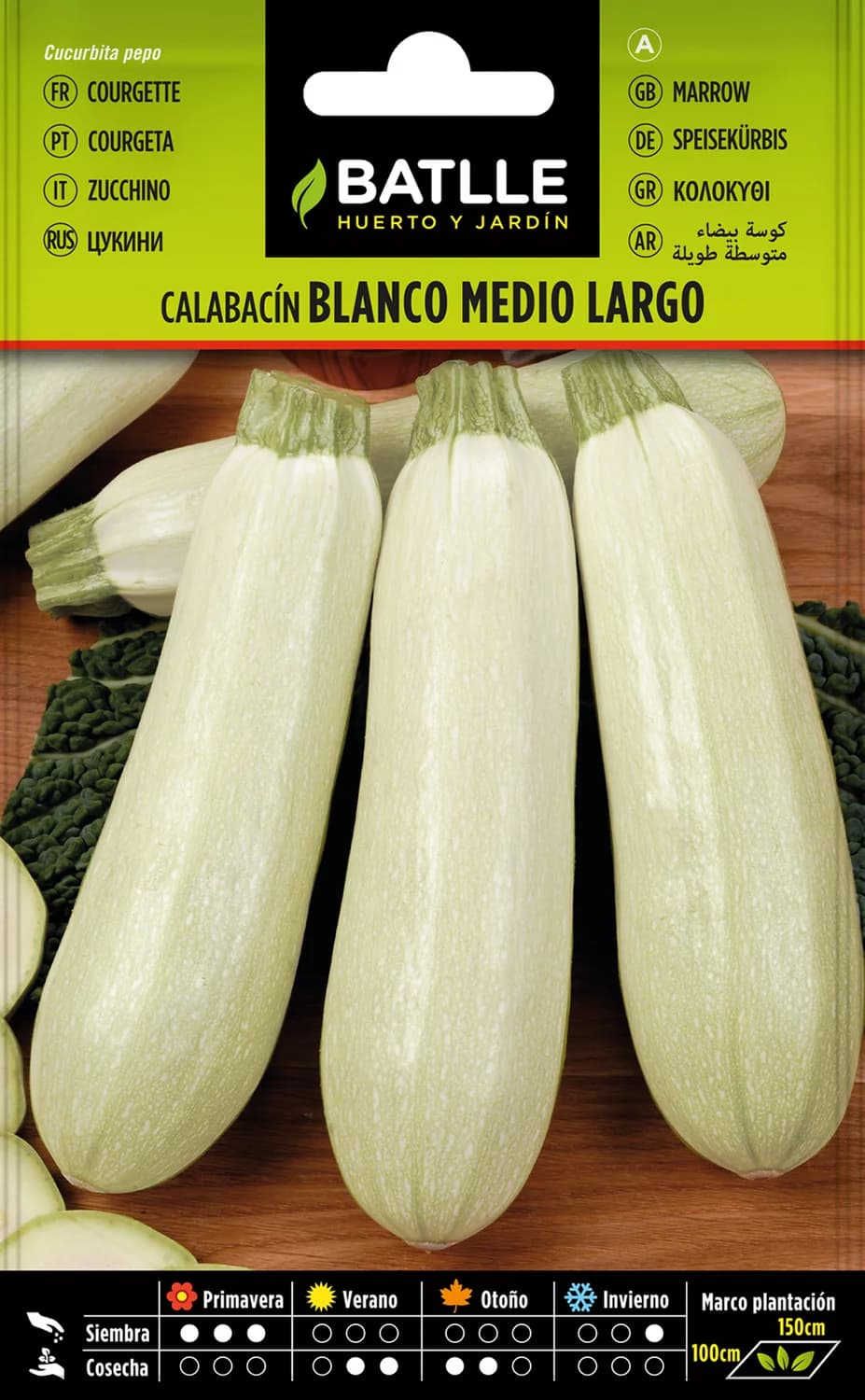Semillas calabacín blanco medio largo