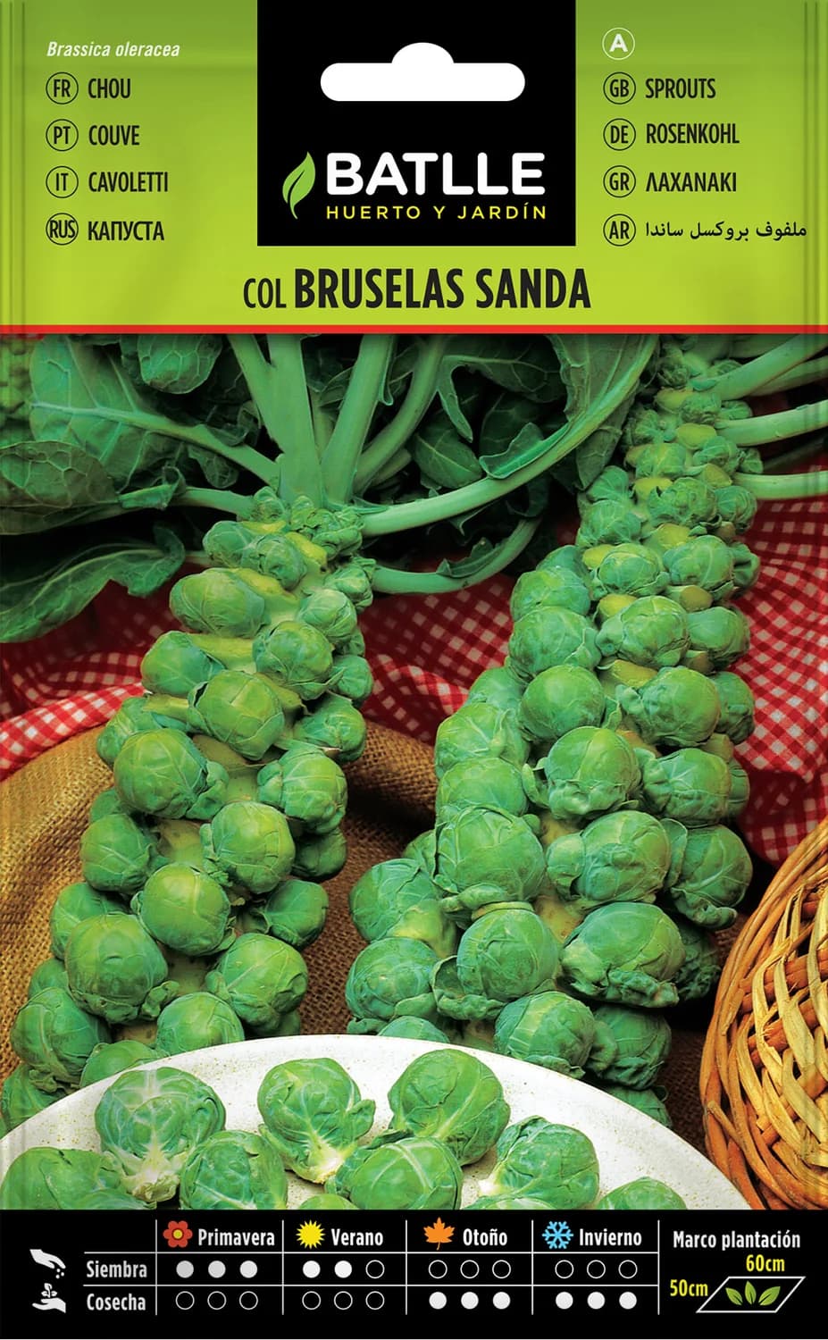 Semillas col Bruselas Sanda