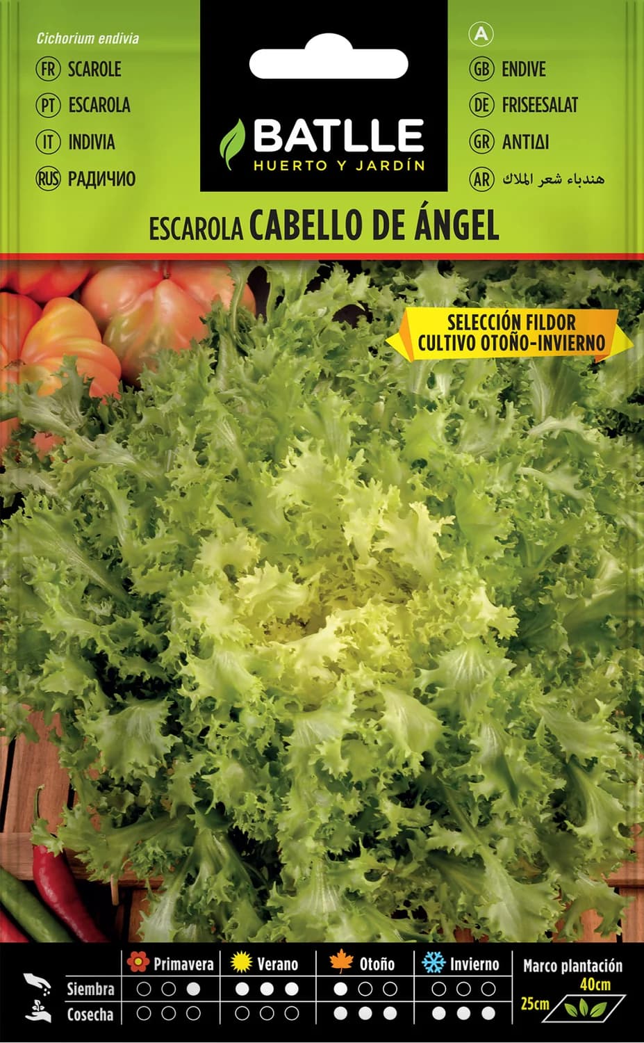Semillas escarola Cabello Ángel de hoja fina