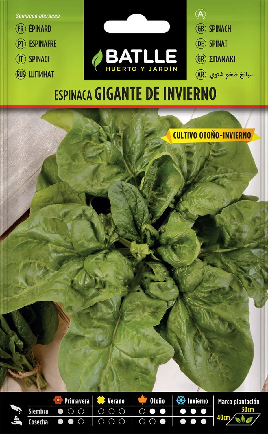 Semillas espinaca gigante invierno