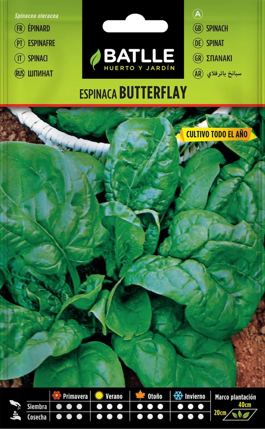 Semillas espinaca Butterflay de hoja grande