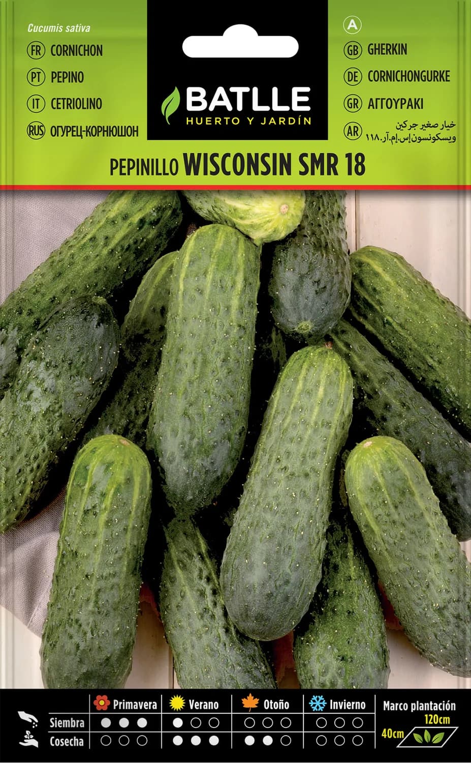 Semillas pepinillo Wisconsin SMR 118