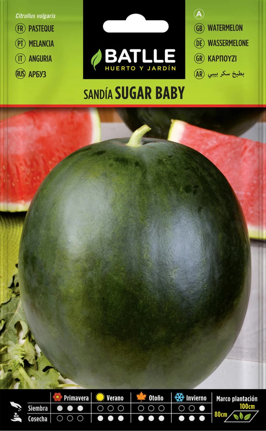 Semillas sandía Sugar Baby: sandía precoz y muy dulce
