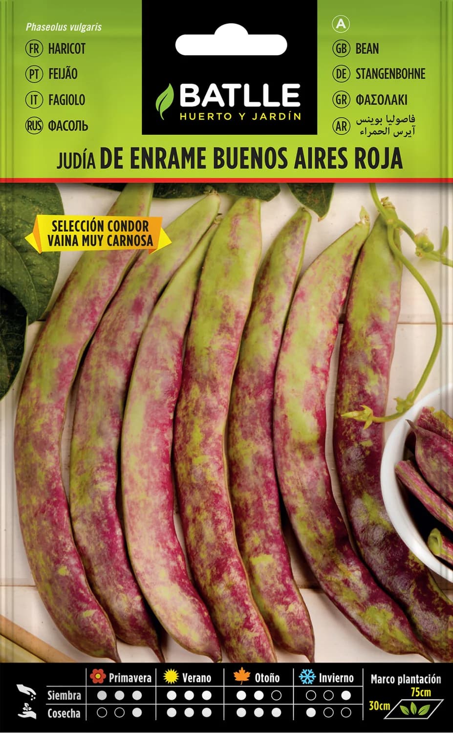 Semillas judía Buenos Aires Roja S. CONDOR
