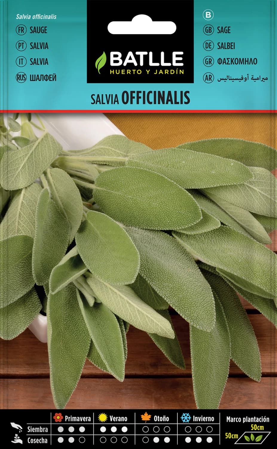 Semillas Salvia Officinalis para cocina y jardín aromático