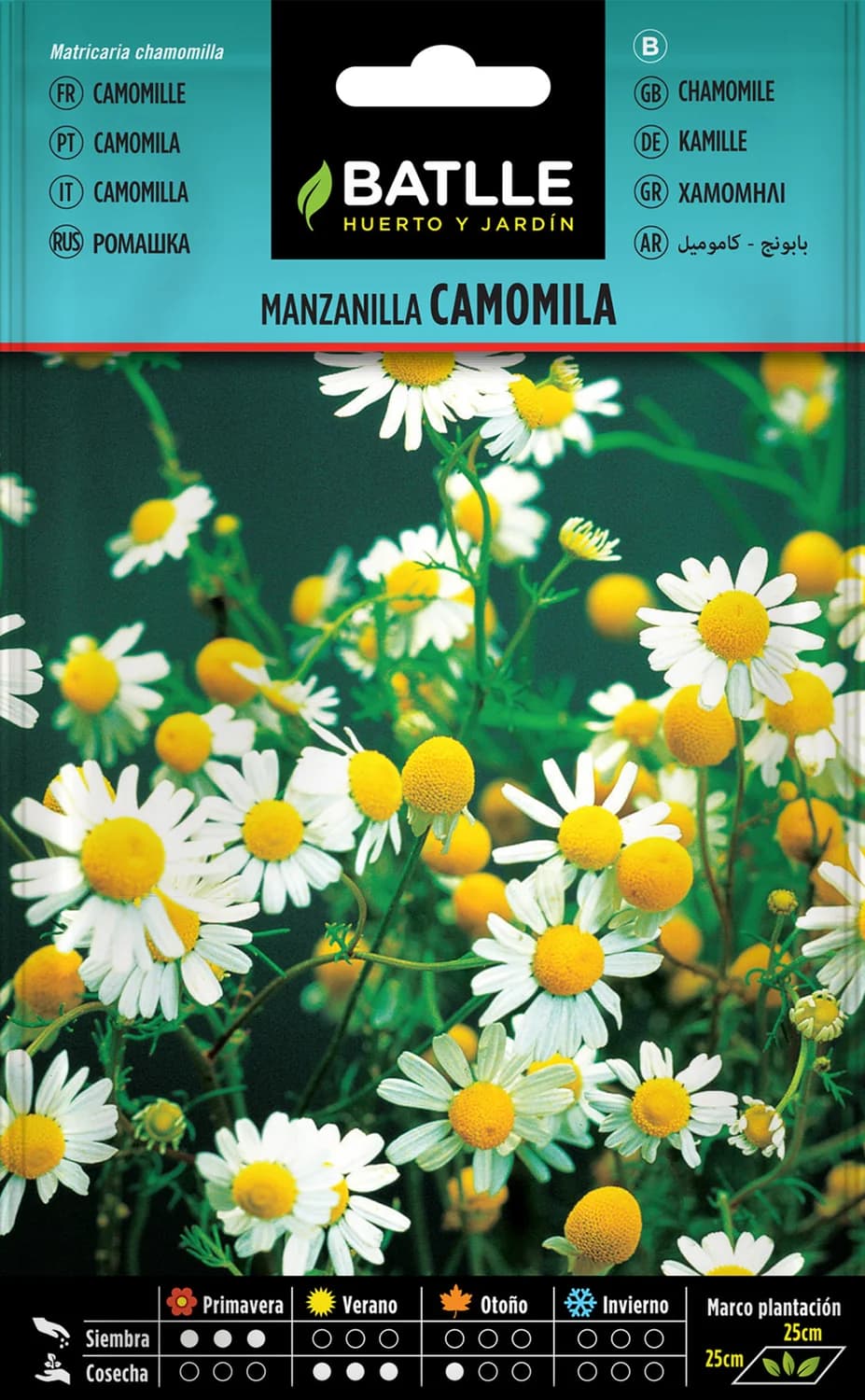 semillas de manzanilla camomila para cultivo de plantas aromáticas