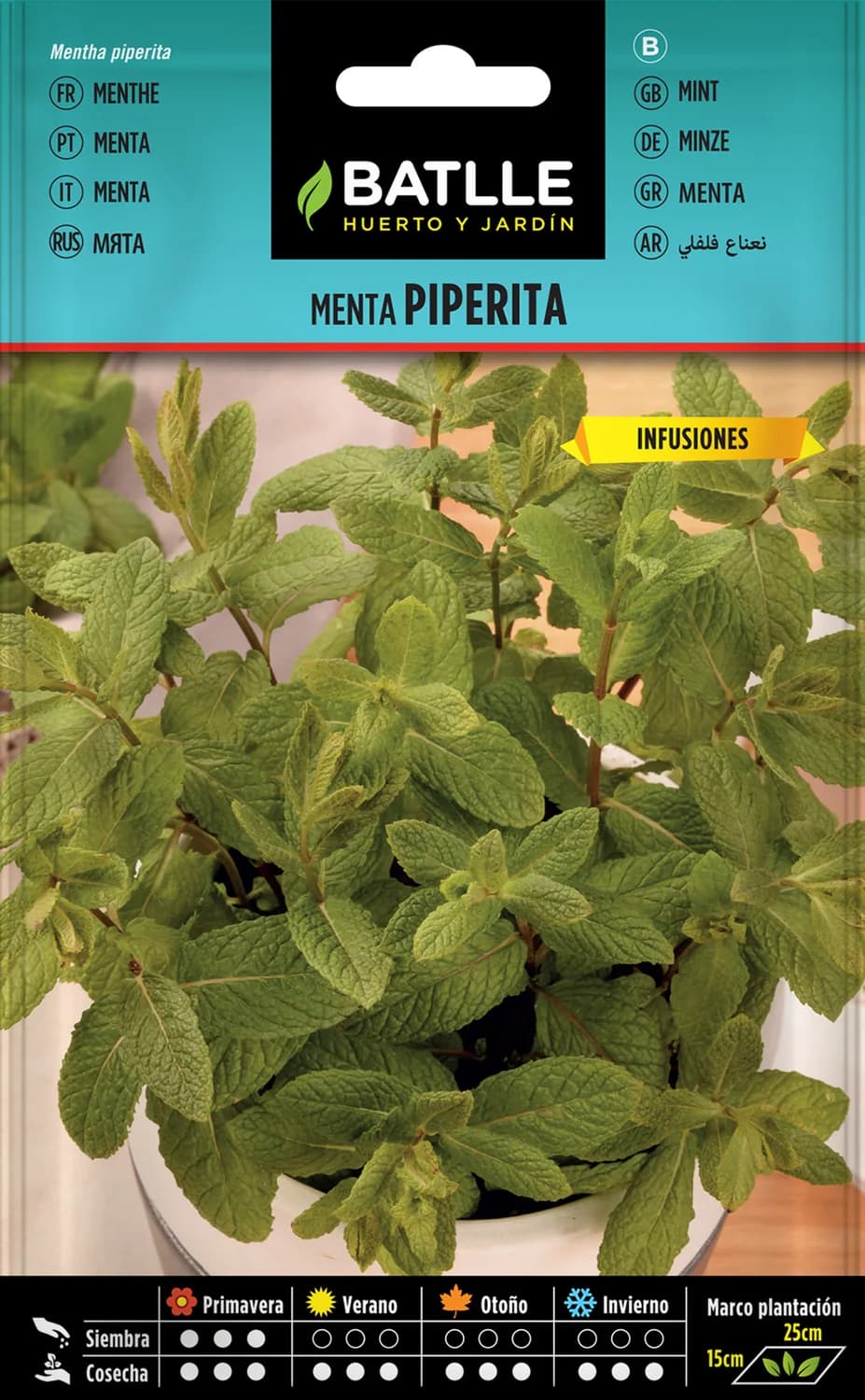 Semillas menta piperita para infusión