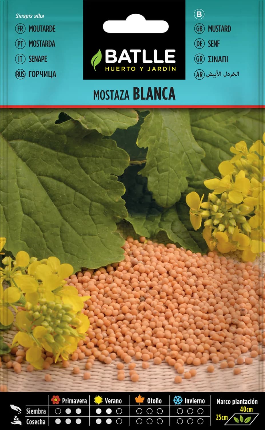 Semillas mostaza blanca - Sinapis alba