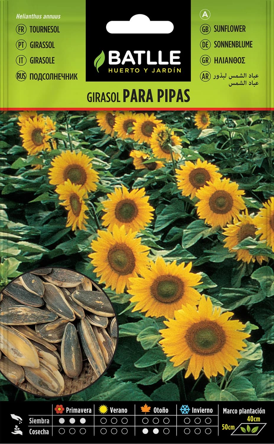 semillas girasol para pipas de gran tamaño