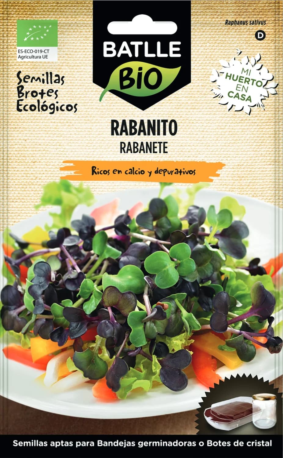 brotes de rabanito bio para germinar en casa