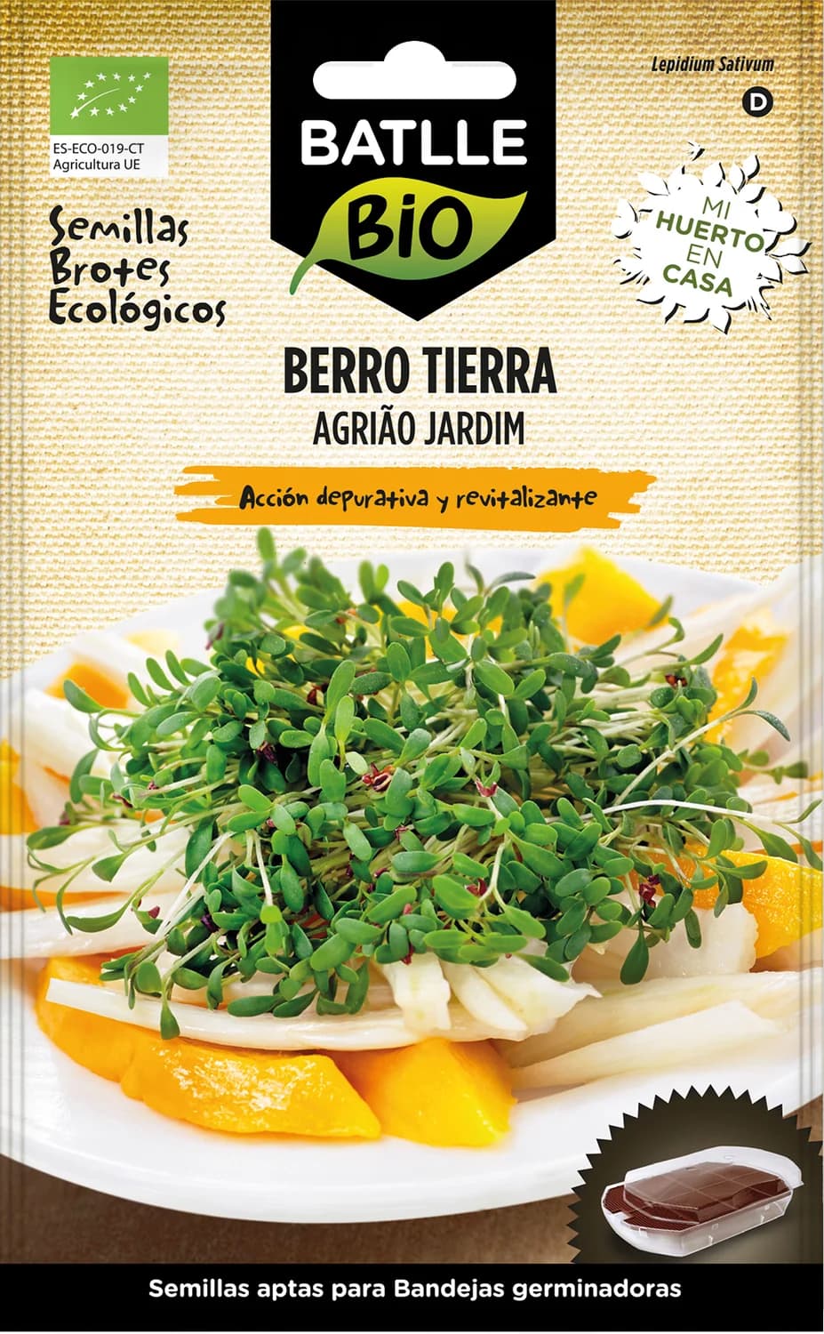 semillas berro tierra germinación en envase para brotes