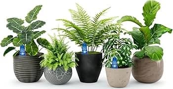 Gel de riego Batlle RiegaPlant 150 ml vaso lleno - Imagen 2