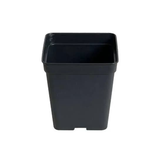 maceta cuadrada negra 2.2 litros para esquejes y germinados
