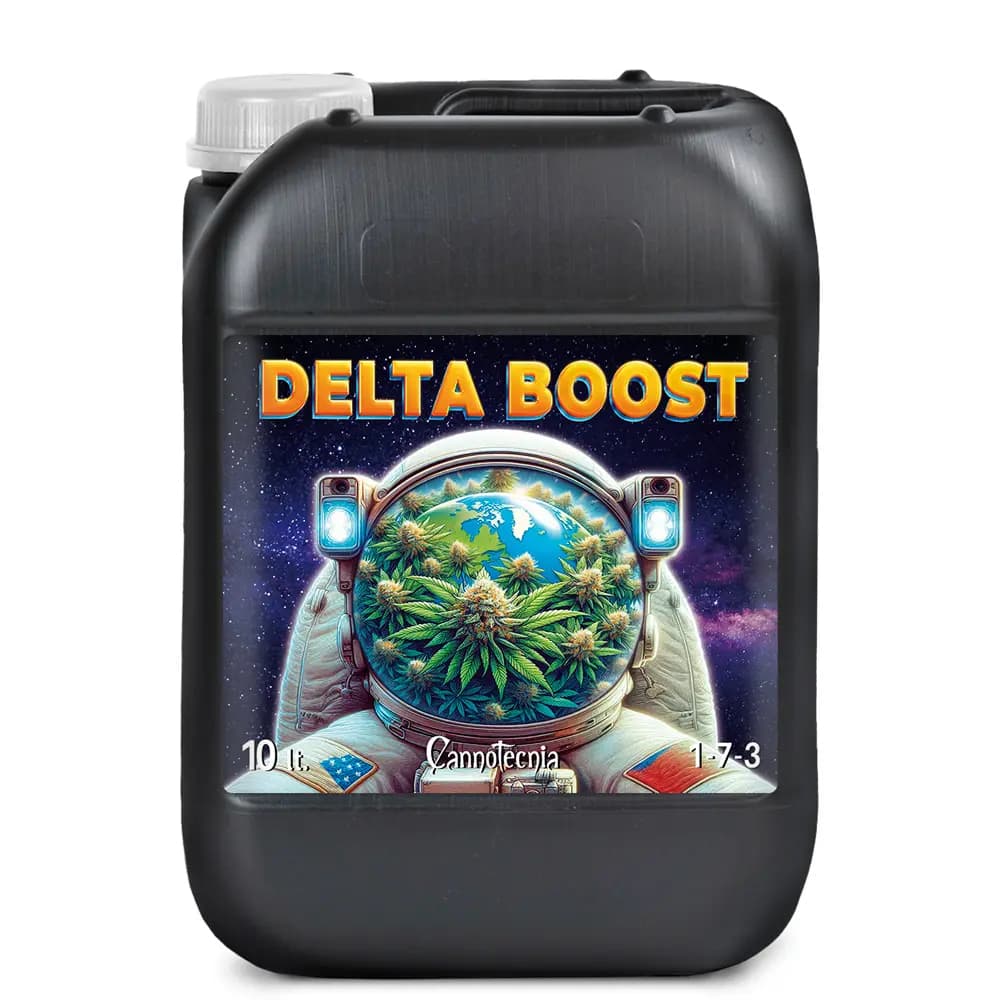 10L
