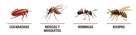 Insecticida descarga total spray 250 ml Batlle Eskudo - Imagen 2