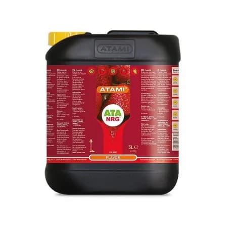 5L