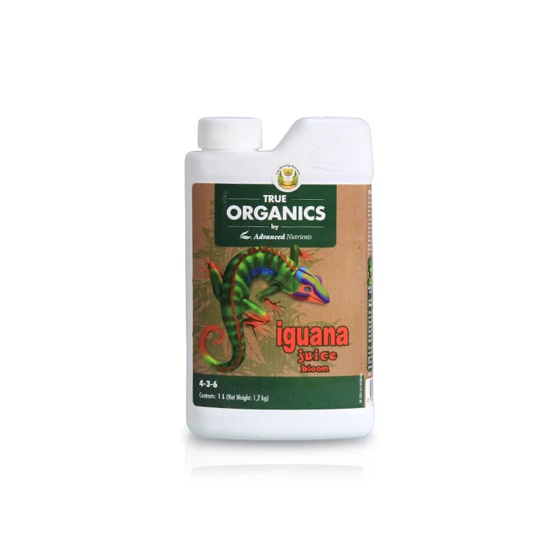 1L