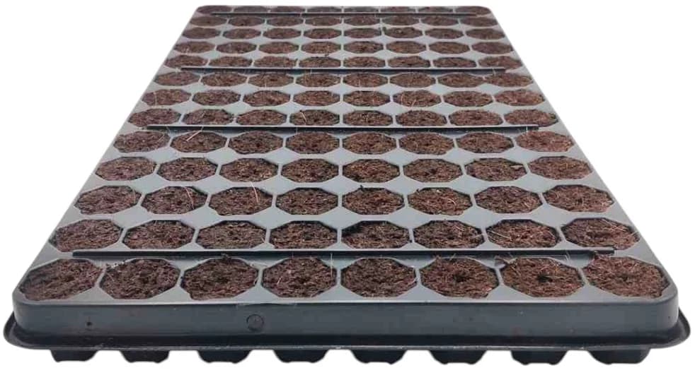 Bandeja propagación 104 huecos Easy Clone Pro