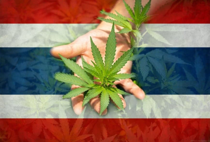 El nuevo país del cannabis