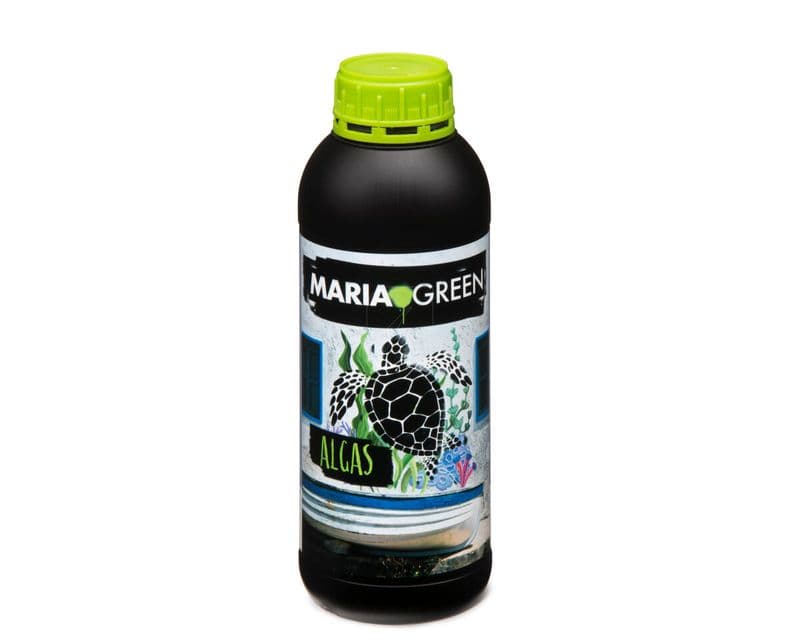ALGAX 5L MARIA GREEN