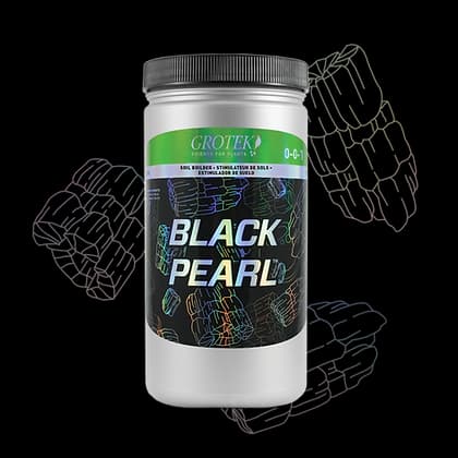 Black Pearl Grotek