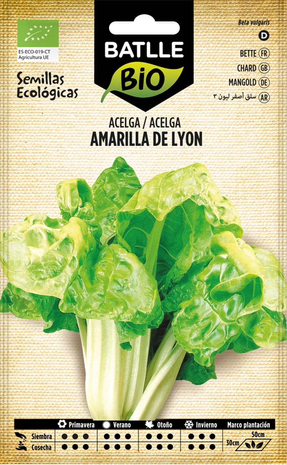 Semillas acelga amarilla Lyon de hoja grande y penca tierna