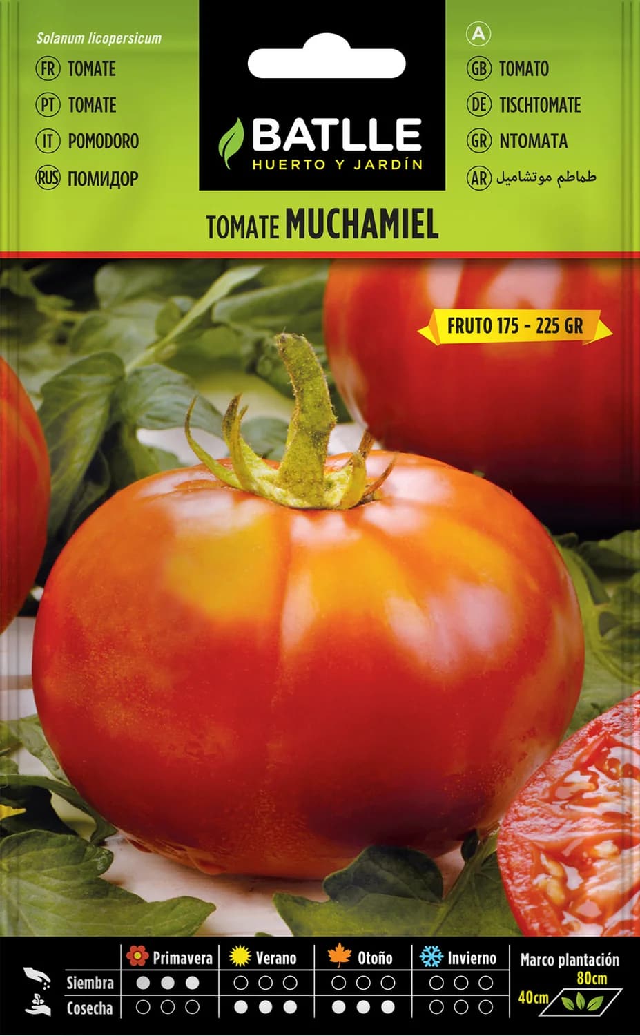 Semillas tomate Muchamiel de ciclo medio