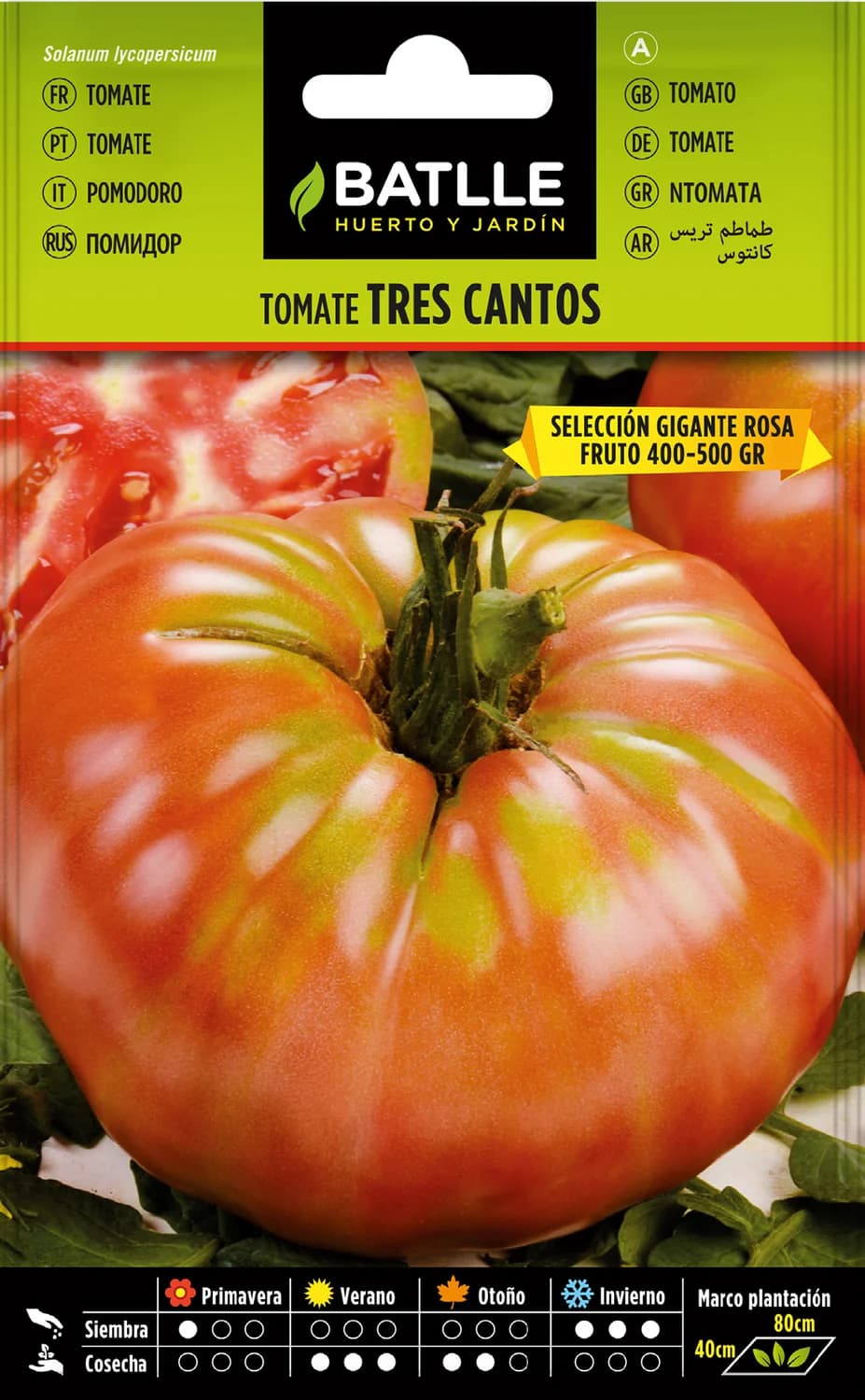 Tomate 3 cantos ROSA, semillas tomate rosa de gran calibre