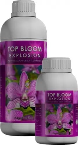 Top Bloom Explosion KayaSolutions, potenciador de floración