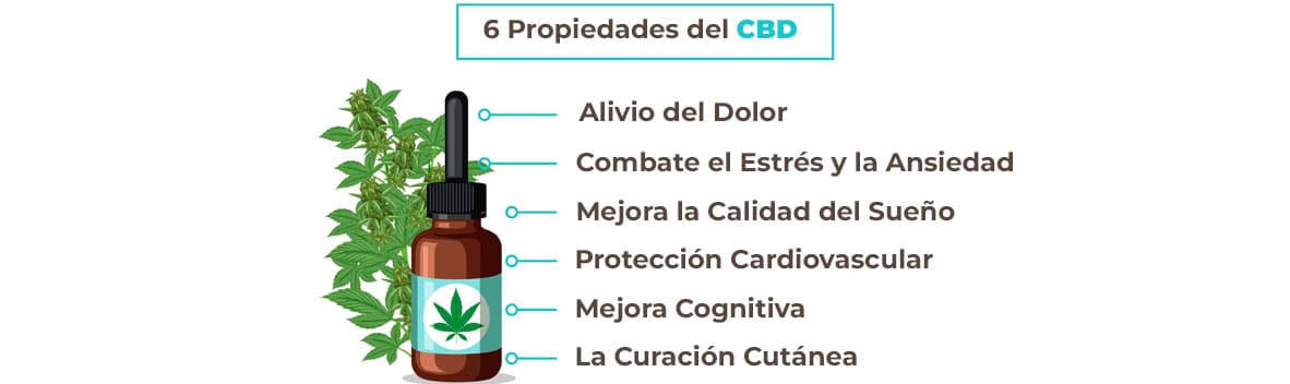 Beneficios Del CBD Y Minimizar Riesgos | Back Garden Grow Shop