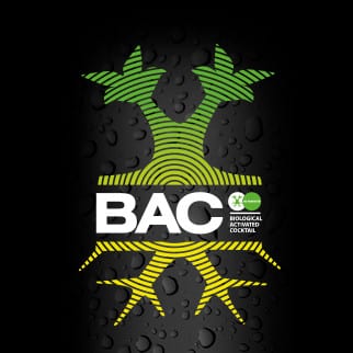 BAC